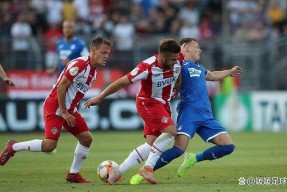 汉诺威队员发威，力挫对手取得胜利()