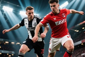 开云体育入口-斯托克城主场对阵德比郡，焦点之战谁能笑到最后()