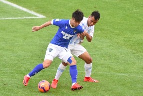 官方在线-浙江队全员发威，合力抵挡对手反扑，赢得关键胜利()