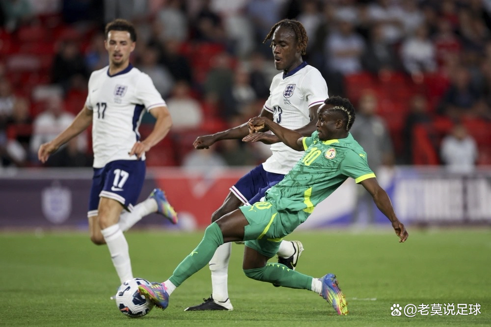 开云官方在线-捷克主场获得重要胜利锁定欧锦赛席位()  第2张